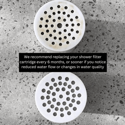 h20asis™ Premium Shower Filter - Buy 1 Filter & Get 2 Free Cartridges